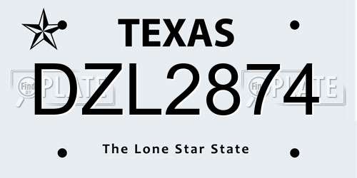 DZL2874 Texas License Plate