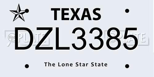 DZL3385 Texas License Plate