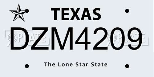 DZM4209 Texas License Plate