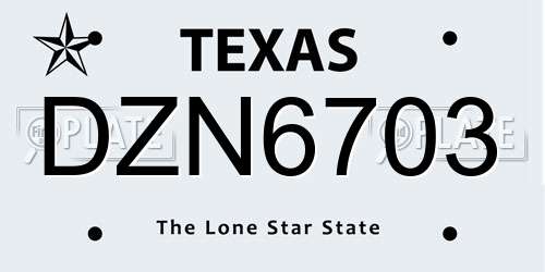 DZN6703 Texas License Plate