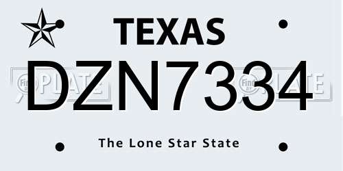 DZN7334 Texas License Plate