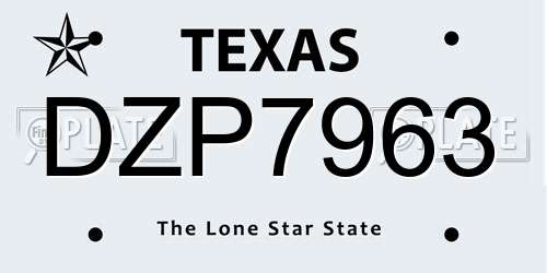 DZP7963 Texas License Plate