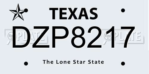 DZP8217 Texas License Plate