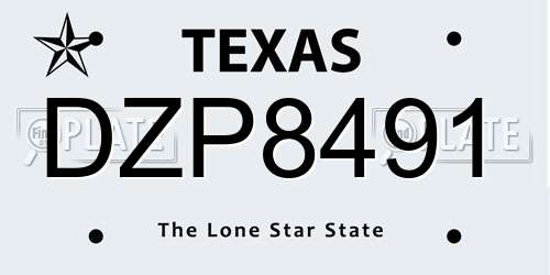 DZP8491 Texas License Plate