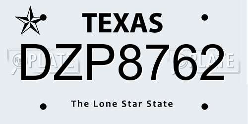 DZP8762 Texas License Plate