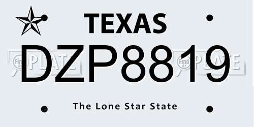 DZP8819 Texas License Plate