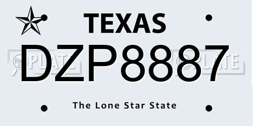 DZP8887 Texas License Plate