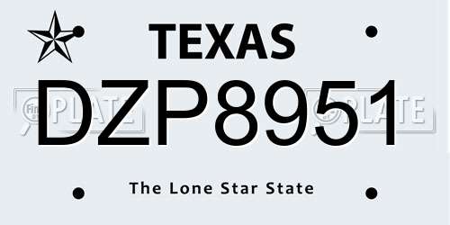 DZP8951 Texas License Plate