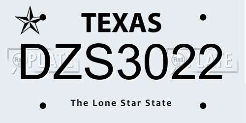 DZS3022 Texas License Plate