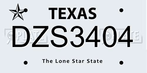 DZS3404 Texas License Plate