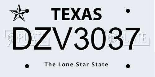 DZV3037 Texas License Plate