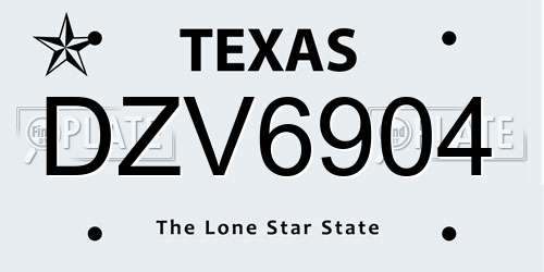 DZV6904 Texas License Plate