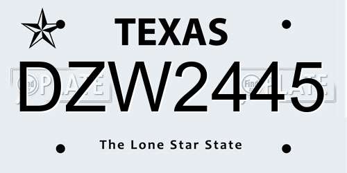 DZW2445 Texas License Plate