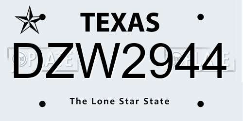 DZW2944 Texas License Plate