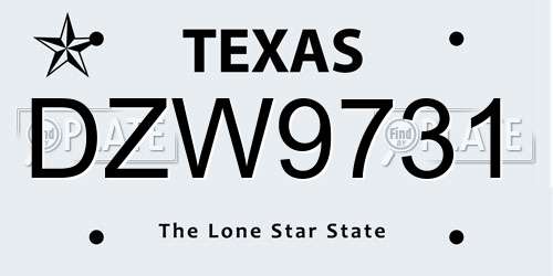DZW9731 Texas License Plate