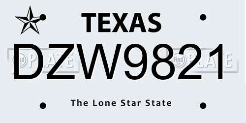 DZW9821 Texas License Plate