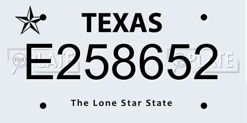E258652 Texas License Plate