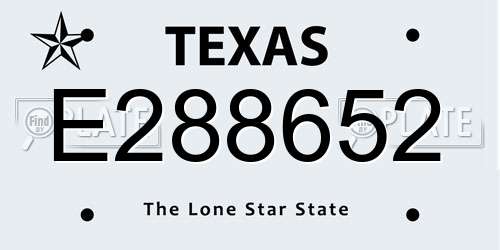 E288652 Texas License Plate