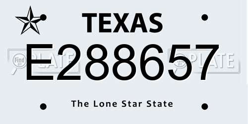 E288657 Texas License Plate