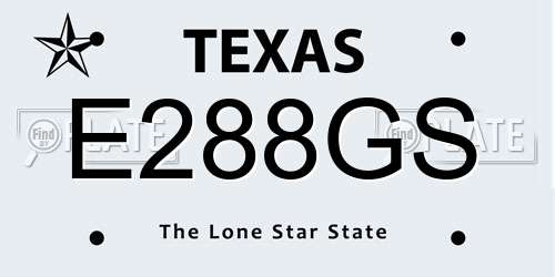 E288GS Texas License Plate