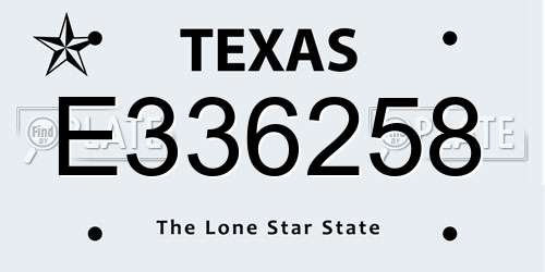 E336258 Texas License Plate