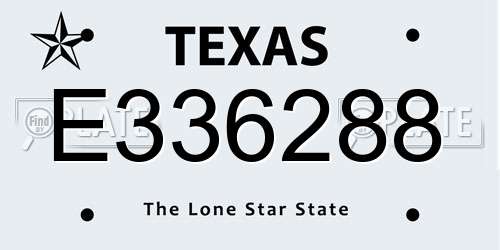 E336288 Texas License Plate