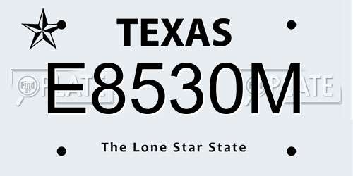 E8530M Texas License Plate