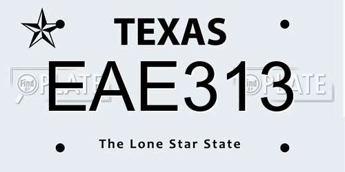 EAE313 Texas License Plate