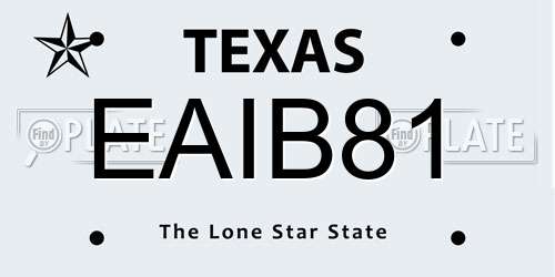 EAIB81 Texas License Plate