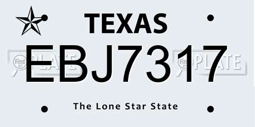 EBJ7317 Texas License Plate
