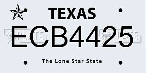 ECB4425 Texas License Plate