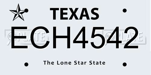 ECH4542 Texas License Plate