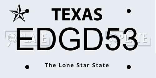 EDGD53 Texas License Plate