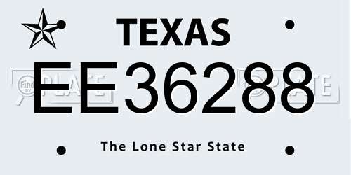 EE36288 Texas License Plate