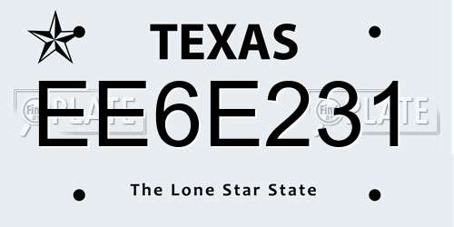 EE6E231 Texas License Plate