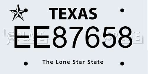 EE87658 Texas License Plate