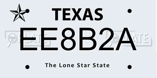 EE8B2A Texas License Plate