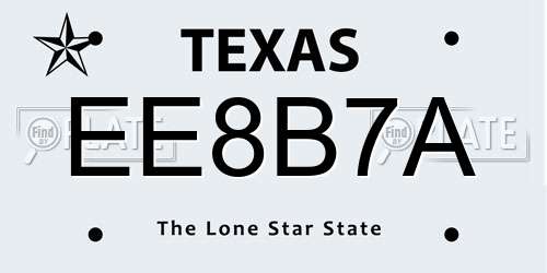 EE8B7A Texas License Plate