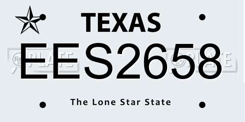 EES2658 Texas License Plate
