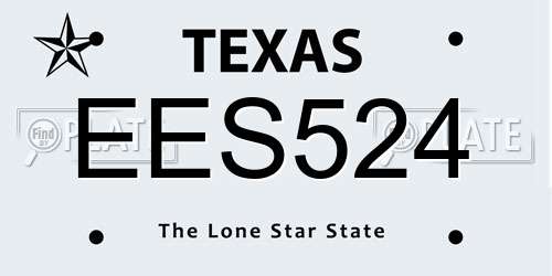 EES524 Texas License Plate