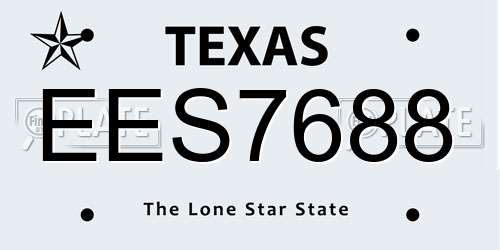 EES7688 Texas License Plate