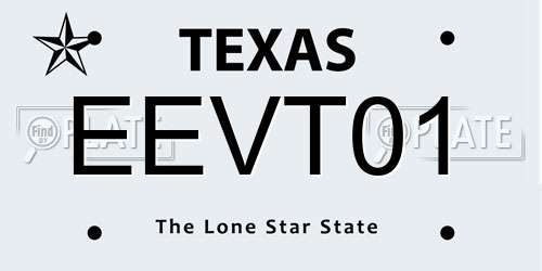EEVT01 Texas License Plate