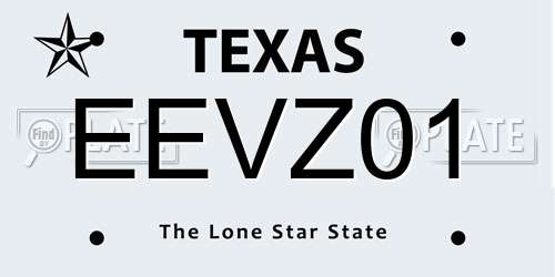 EEVZ01 Texas License Plate