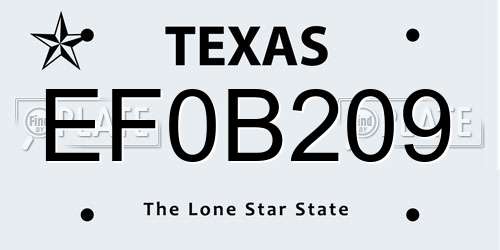 EF0B209 Texas License Plate
