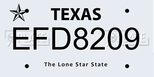 EFD8209 Texas License Plate