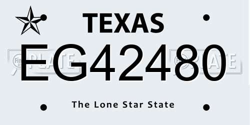 EG42480 Texas License Plate