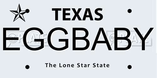 EGGBABY Texas License Plate