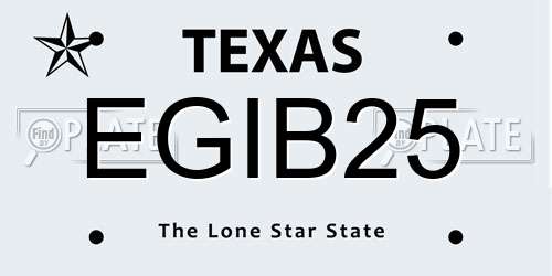 EGIB25 Texas License Plate