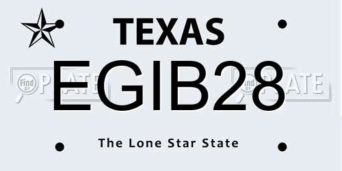 EGIB28 Texas License Plate