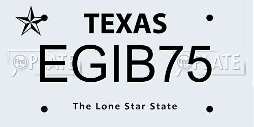 EGIB75 Texas License Plate